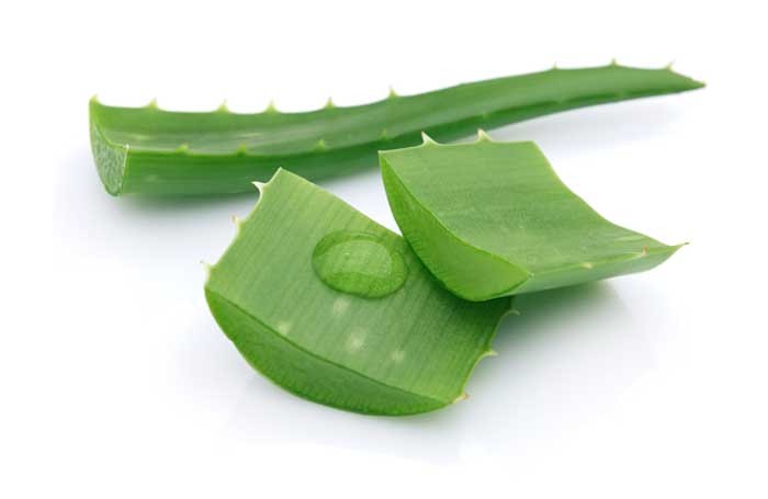 aloevera