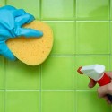 limpar casa borato de sódio