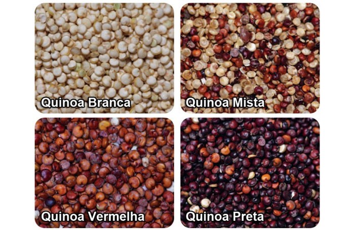 tipos-de-quinoa